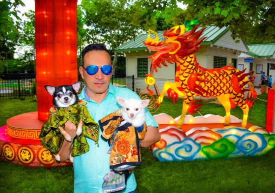 Anthony Rubio with Chihuahua duo Bogie and Kimba visit Philadelphia Chinese Lantern Festival