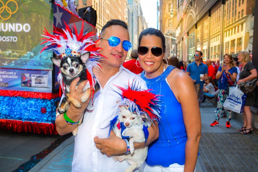 Anthony Rubio and his Chihuahua duo Bogie and Kimba with Freestyle Music singer  Judy Torres at the 2016 National Puerto Rican Day Parade