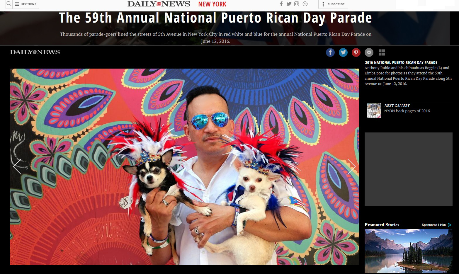 Anthony Rubio and Bogie and Kimba featured in the New York Daily News from 2016 National Puerto Rican Day Parade