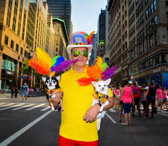 Anthony Rubio and Bogie and Kimba marched in the 46th Annual Pride Parade in New York City
