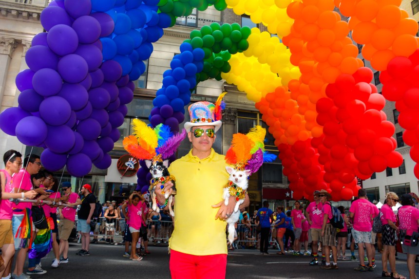 Anthony Rubio and Bogie and Kimba marched in the 46th Annual Pride Parade in New York City