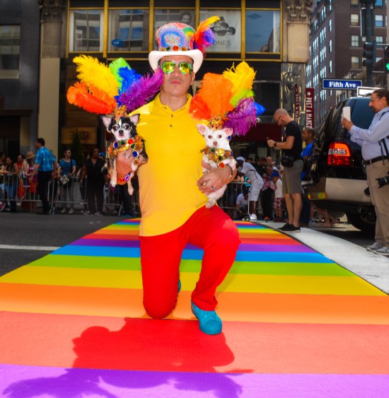 Anthony Rubio and Bogie and Kimba marched in the 46th Annual Pride Parade in New York City