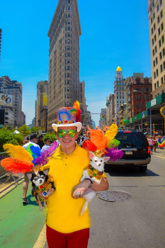 Anthony Rubio and Bogie and Kimba marched in the 46th Annual Pride Parade in New York City