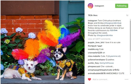 Anthony Rubio Designs Featured on Instagram's Official Account