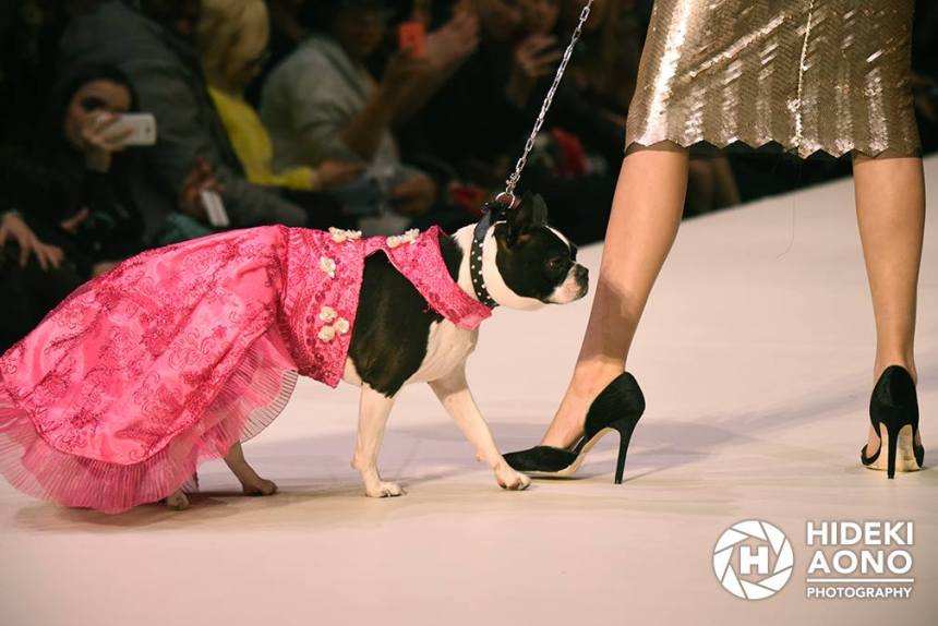 Anthony Rubio Fall/Winter 2016 - New York Fashion Week Women's Wear & Canine Couture Female Model: Josie Giordano Canine Model: Rita Photo by: Hideki Aono