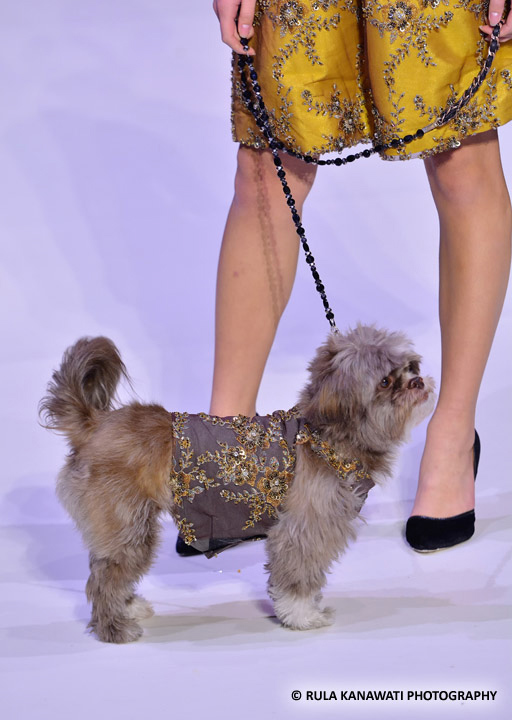 Anthony Rubio Fall/Winter 2016 - New York Fashion Week Women's Wear & Canine Couture Female Model: Nicole Cuizon Canine Model: Henry Photo by: Rula Kanawati