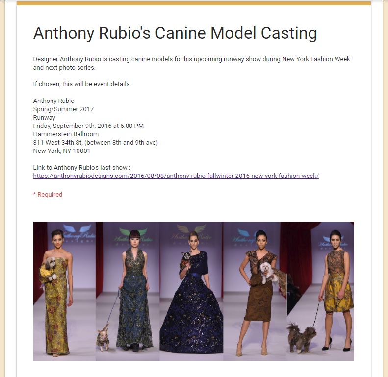 Anthony Rubio's NYFW Canine Casting Call