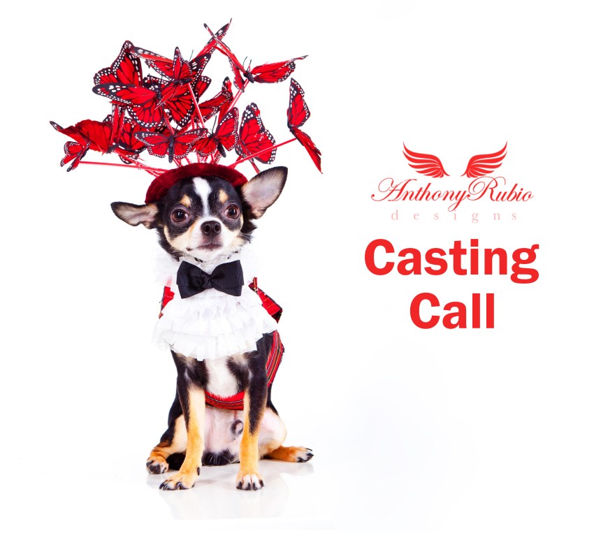 Anthony Rubio's Canine Model Casting