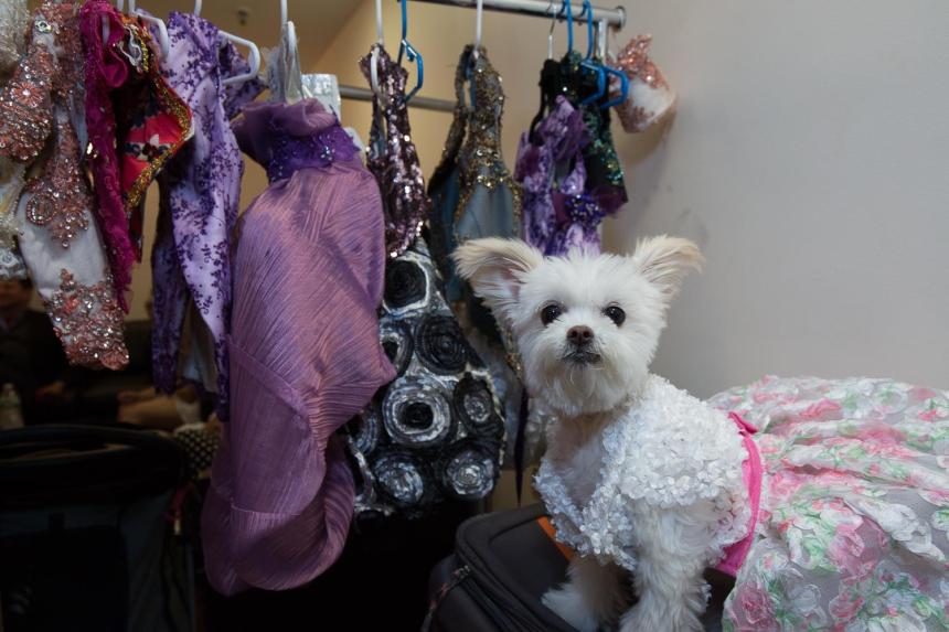 Anthony Rubio Spring/Summer 2017 New York Fashion Week held at Hammerstein Ballroom Photo by Mouhsine Idrissi Janati