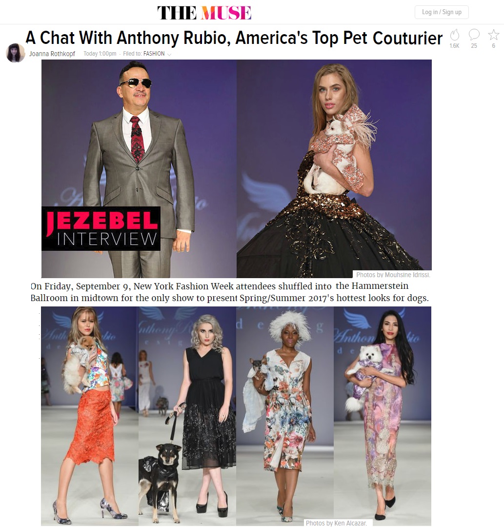 Anthony Rubio's Interview for Jezebel - Dog Fashion, Pet Fashion, Fashion Week