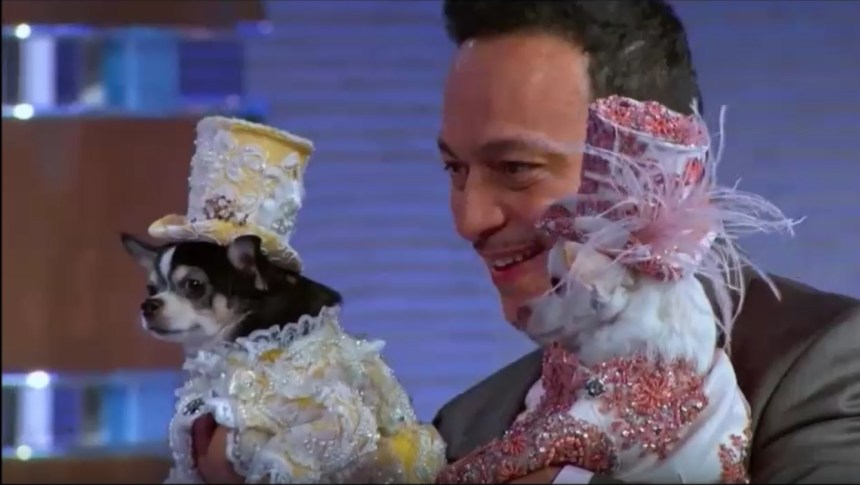 Pet Fashion Designer Anthony Rubio on "To Tell The Truth" with Anthony Anderson on ABC Network