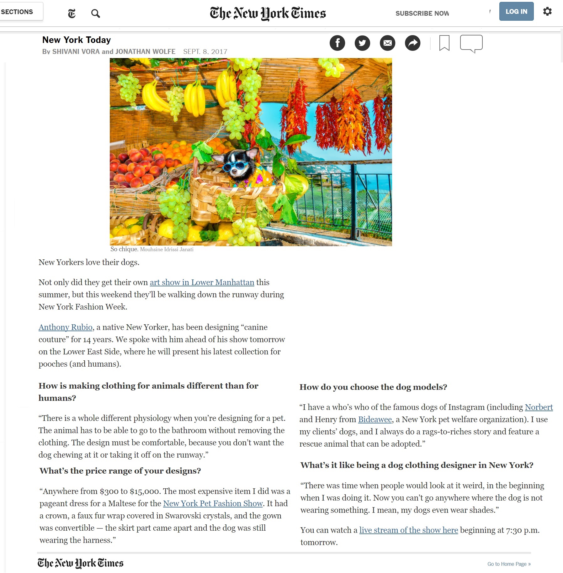 Anthony Rubio's interview in New York Times - Dog Fashion