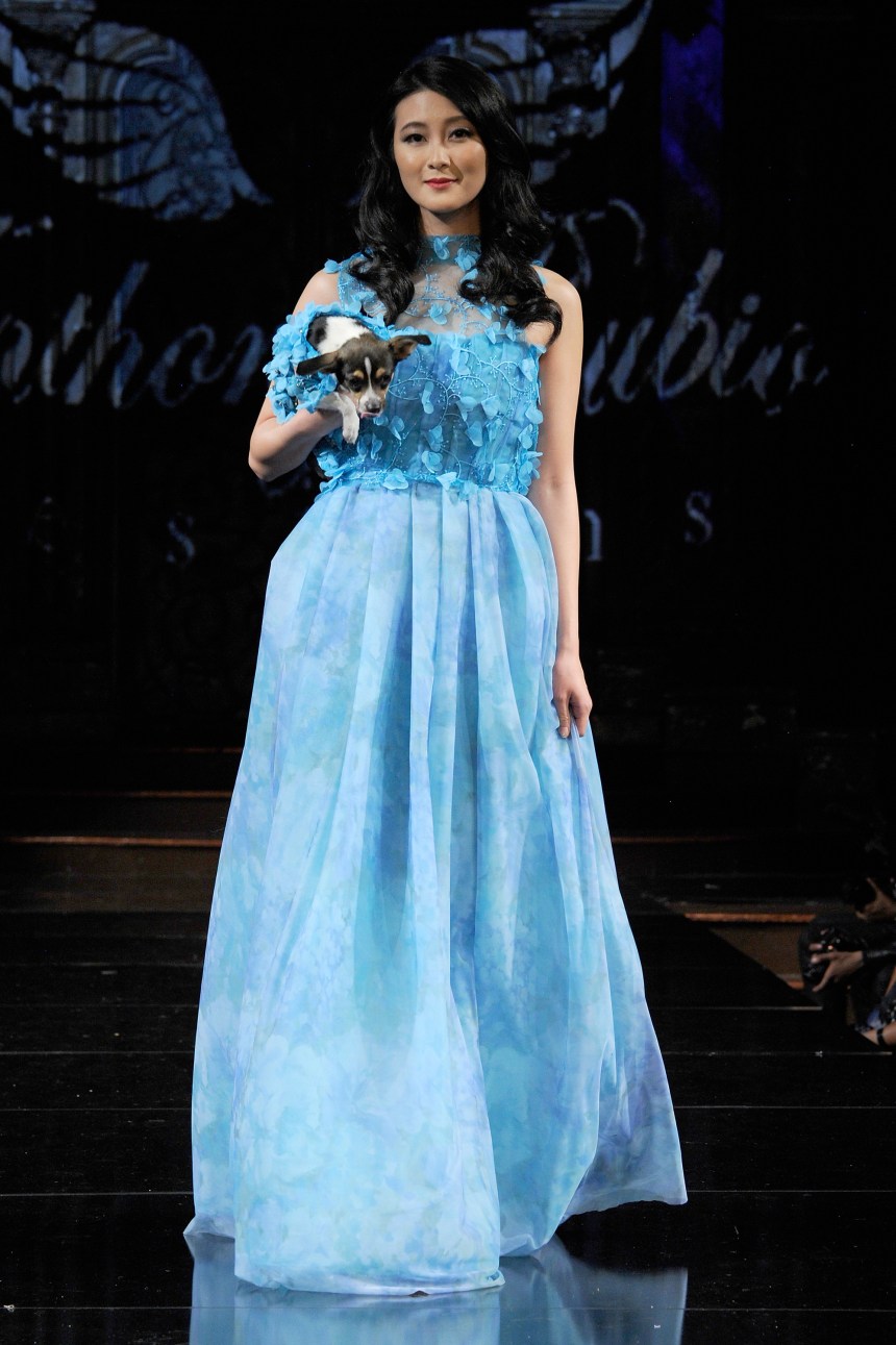 Anthony Rubio Spring/Summer 2018 Women's Wear & Canine Couture New York Fashion Week Photo by Arun Nevader - Getty Images Model: Amy Kao Canine Model: @TuckyFromKentucky