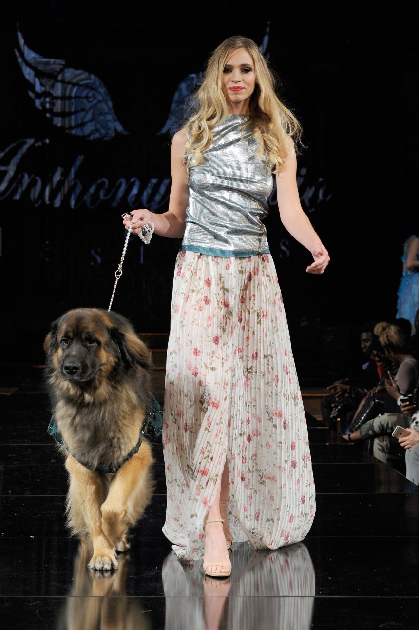 Anthony Rubio Spring/Summer 2018 Women's Wear & Canine Couture New York Fashion Week Photo by Arun Nevader - Getty Images Model: Olya Jay Canine Model: Hollywood The Leonberger