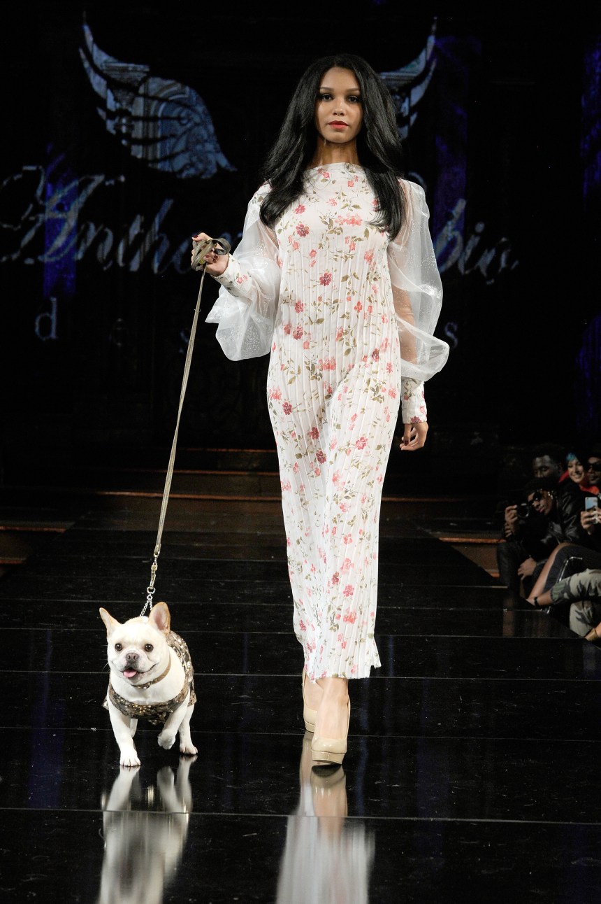 Anthony Rubio Spring/Summer 2018 Women's Wear & Canine Couture New York Fashion Week Photo by Arun Nevader - Getty Images Model: Sumer Rayne Canine Model: Sebastian (@SebastianLovesLuna)