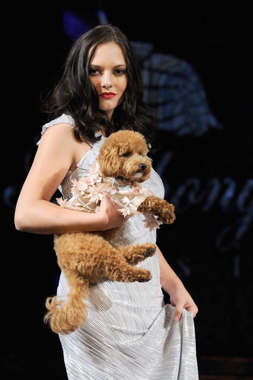 Anthony Rubio Spring/Summer 2018 Women's Wear & Canine Couture New York Fashion Week Photo by Arun Nevader - Getty Images Model: Jami Lyn Canine Model: @BubalahPoochie