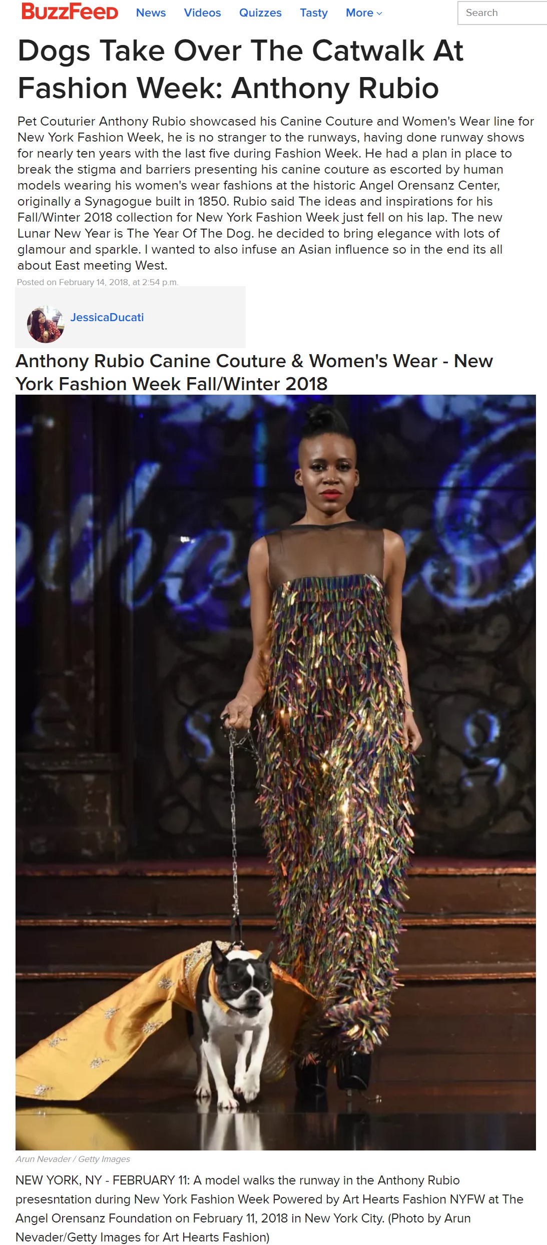 Anthony Rubio's NYFW runway show covered by BuzzFeed. Canine Couture