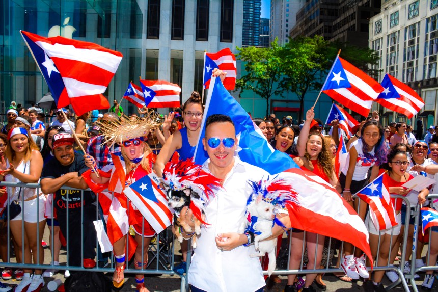Anthony Rubio with Chihuahuas Bogie and Kimba at the National Puerto Rican Day Parade in New York
