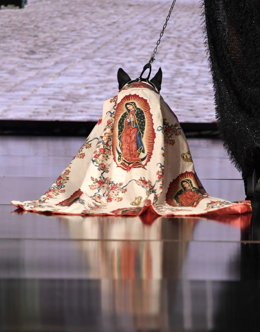 Anthony Rubio Women’s Wear and Canine Couture New York Fashion Week Photo by Arun Nevader for Getty Images