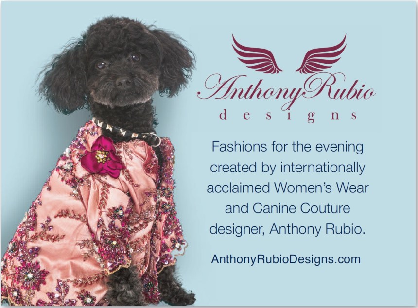 Join us for the 3rd Annual Dogs On The Catwalk a benefit for The Guide Dog Foundation