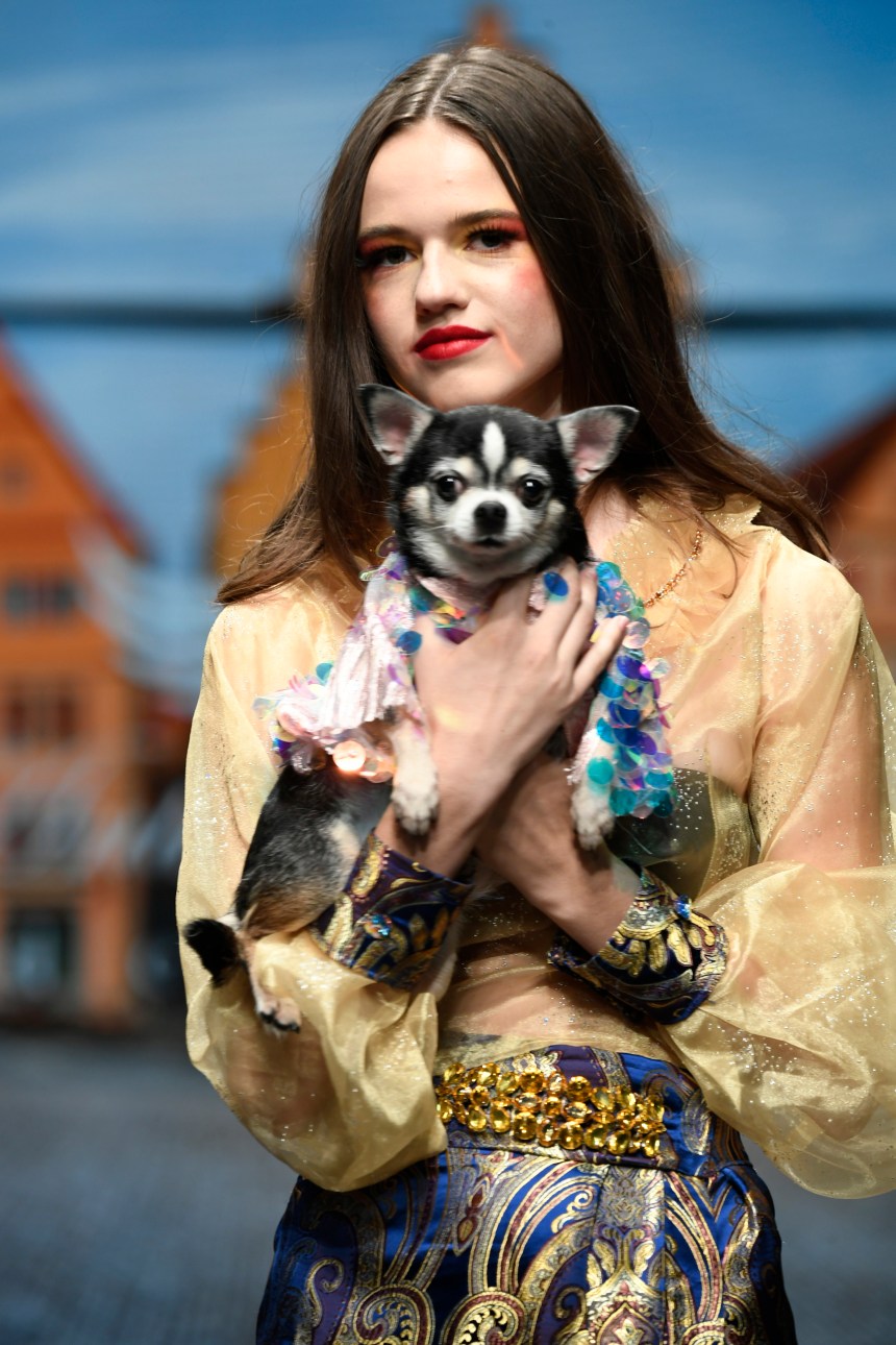Anthony Rubio Women’s Wear and Canine Couture Los Angeles Fashion Week Photo by Arun Nevader for Getty Images