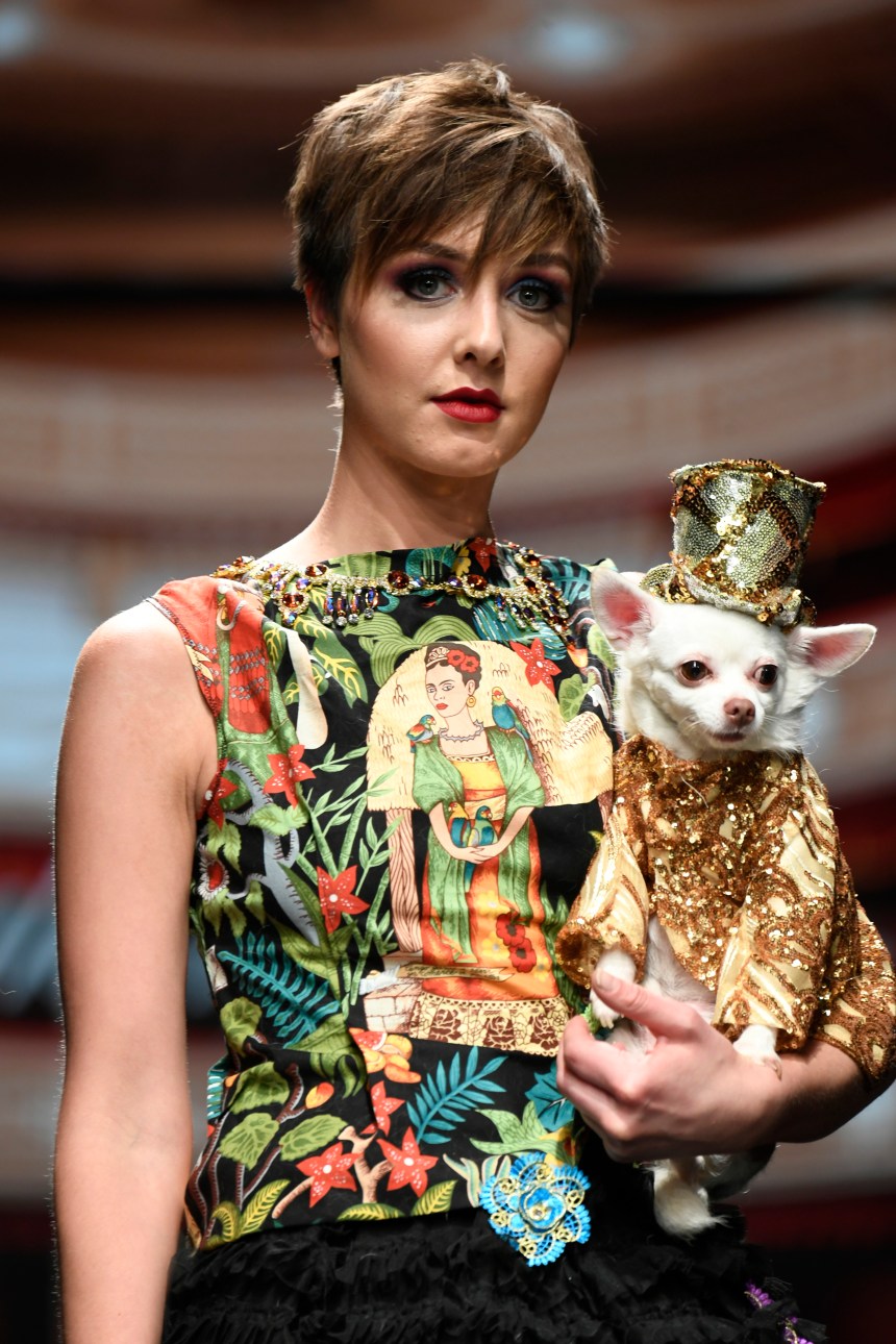 Anthony Rubio Women’s Wear and Canine Couture Los Angeles Fashion Week Photo by Arun Nevader for Getty Images