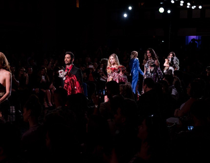 Anthony Rubio Women’s Wear and Canine Couture Los Angeles Fashion Week The Majestic Downtown Photo by Thierry Brouard of Prémium Paris