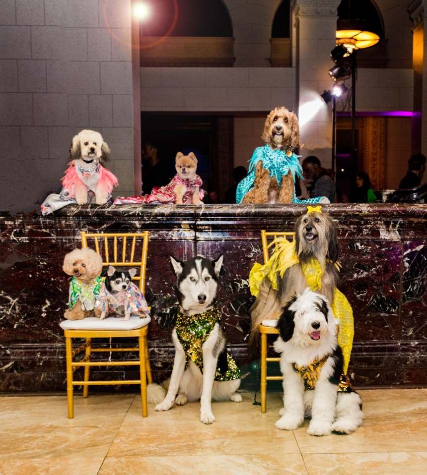 Anthony Rubio Women’s Wear and Canine Couture Los Angeles Fashion Week Photo by SimplyRobb