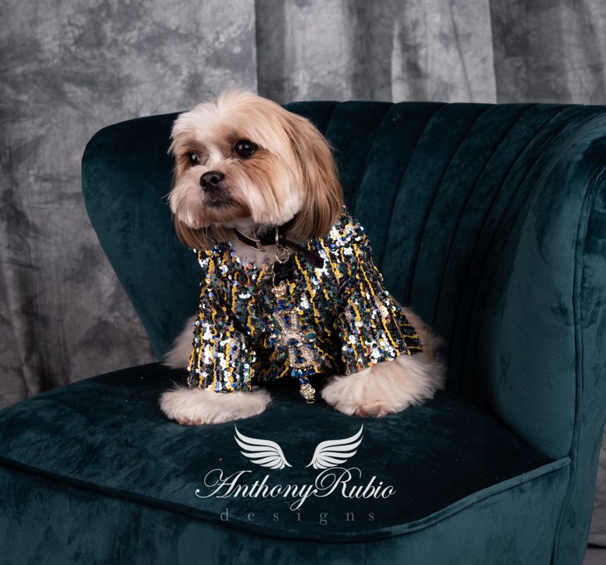 Anthony Rubio, Dog Fashion, Canine Couture, Pet Fashion,