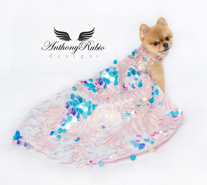 Gowns For Dogs – Pet Fashion by Anthony Rubio