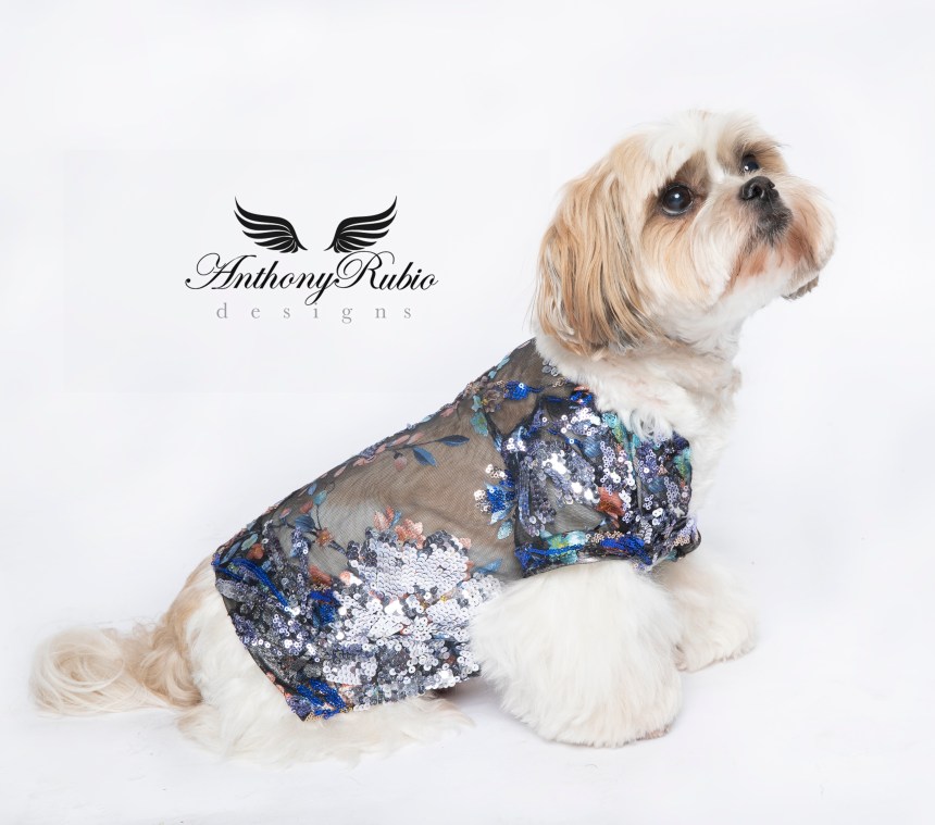 Anthony Rubio, Dog Fashion, Canine Couture, Pet Fashion,
