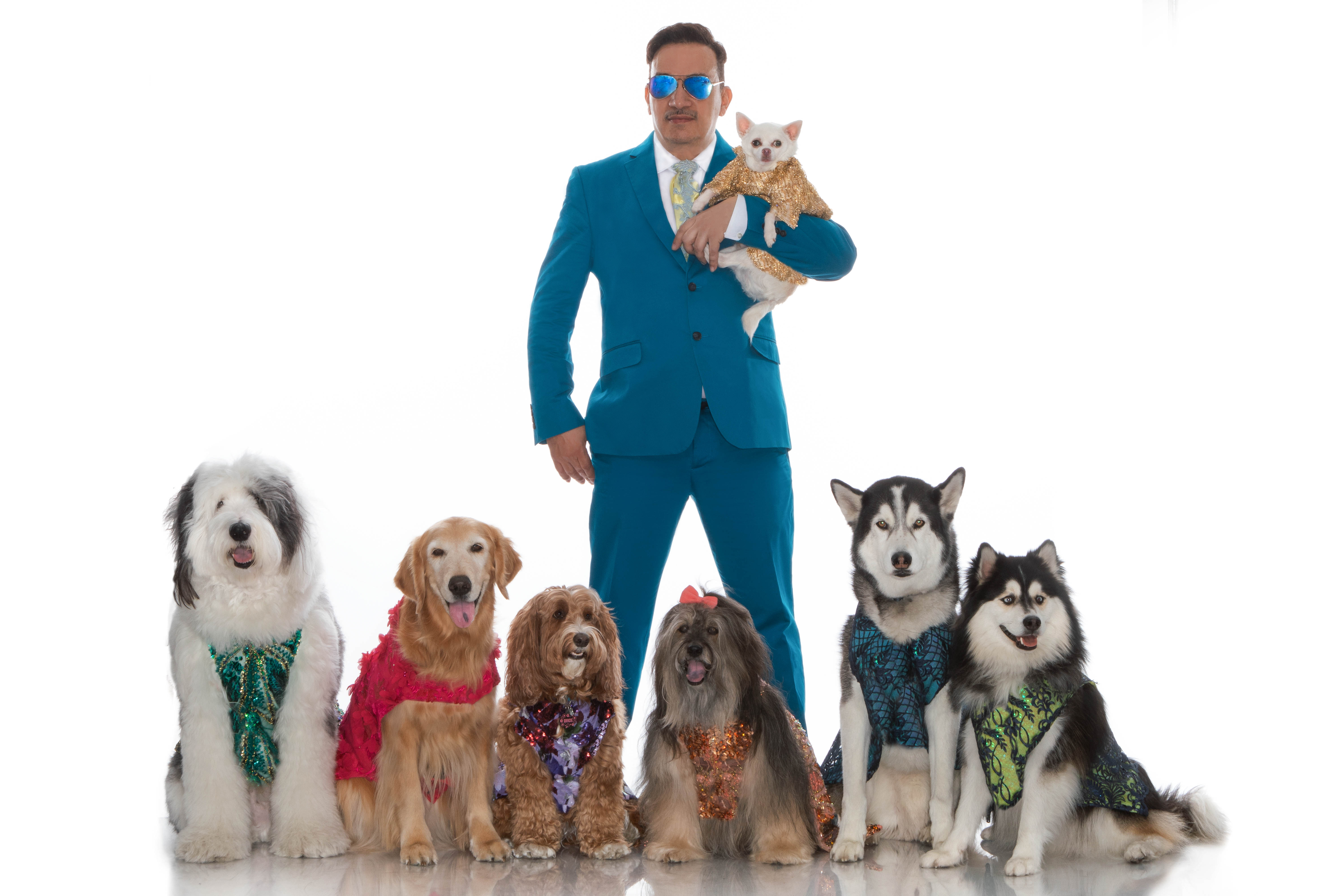 Anthony Rubio, Pet Fashion, Dog Fashion, Pomsky, img_6108 NEW 1000 (1)