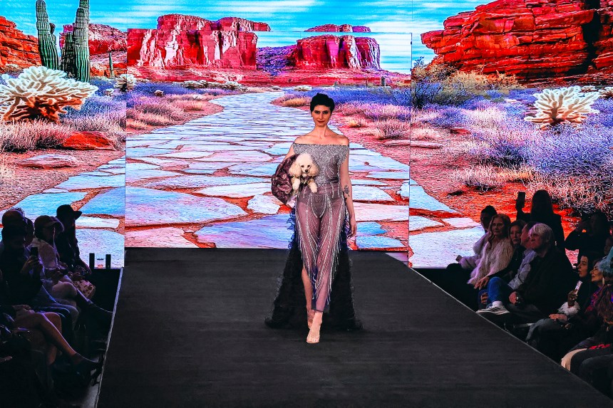 Anthony Rubio: NYFW Women’s Wear and Canine Couture February 2025 (Photo by Manonce)