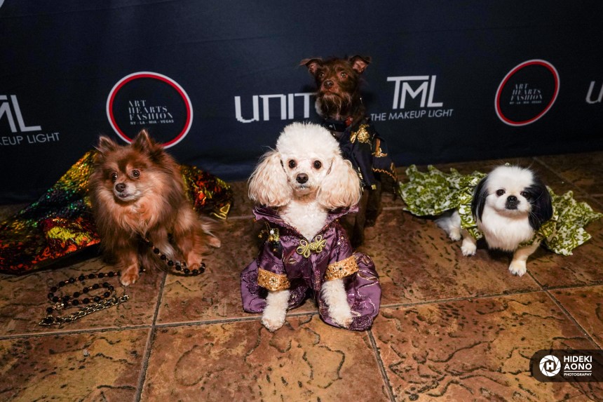 Anthony Rubio: NYFW Women’s Wear and Canine Couture February 2025 (Photo by Hideki Aono)