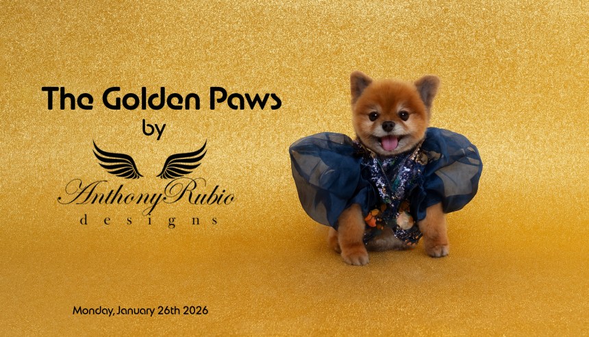 Golden Paws Awards by Anthony Rubio